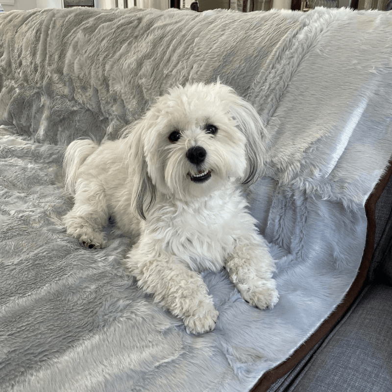 Load image into Gallery viewer, PupProtector™ Summer Short Fur Waterproof Throw Blanket - Grey
