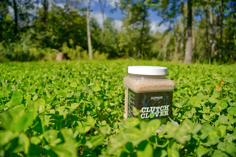 Load image into Gallery viewer, Clutch Clover™ Food Plot Seed
