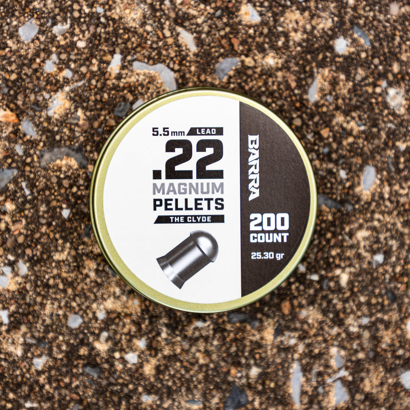 Load image into Gallery viewer, Clyde Heavy .22 Caliber Pellets - 200 Count
