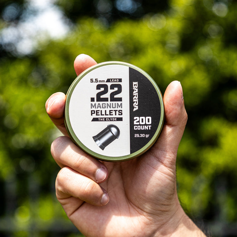 Load image into Gallery viewer, Clyde Heavy .22 Caliber Pellets - 200 Count
