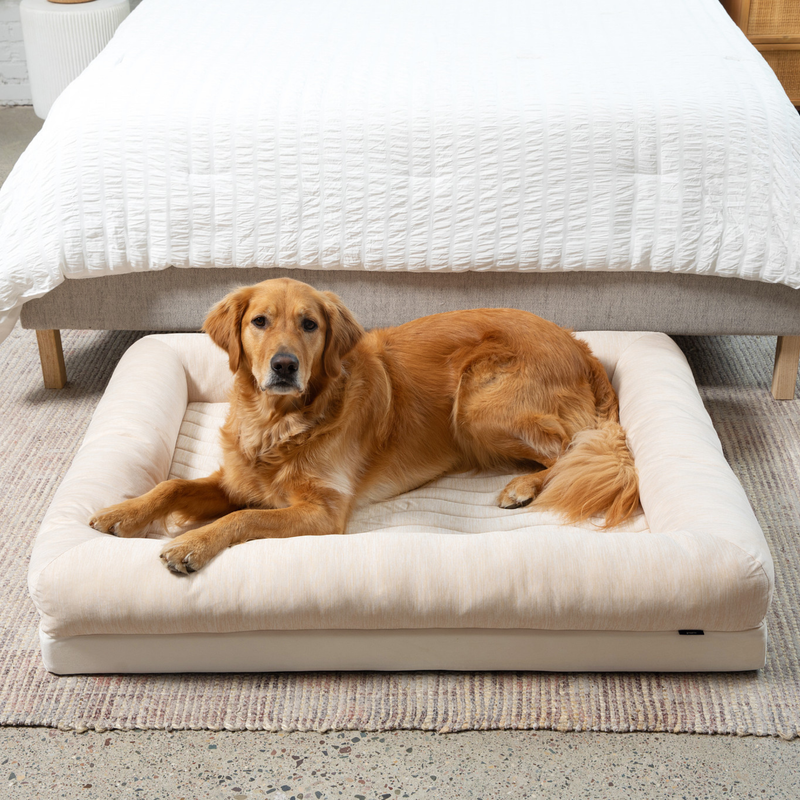 Load image into Gallery viewer, PupChill™ Cooling 4-Bolster Dog Bed - Arctic Sand
