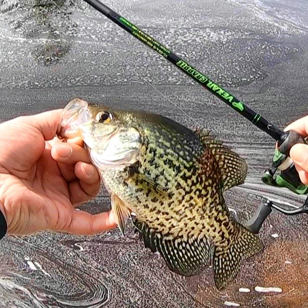 Load image into Gallery viewer, VEXAN® Crappie Rods &amp; Panfish Rods
