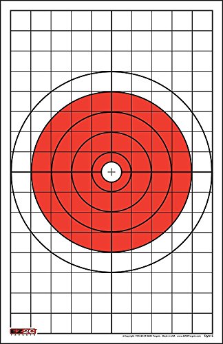 Load image into Gallery viewer, 200 EZ2C Targets Most Popular 5 Styles Paper Targets Bundle 11"x17" USA MADE
