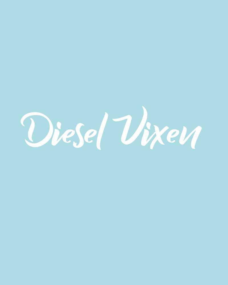 Load image into Gallery viewer, Diesel Vixen Decals
