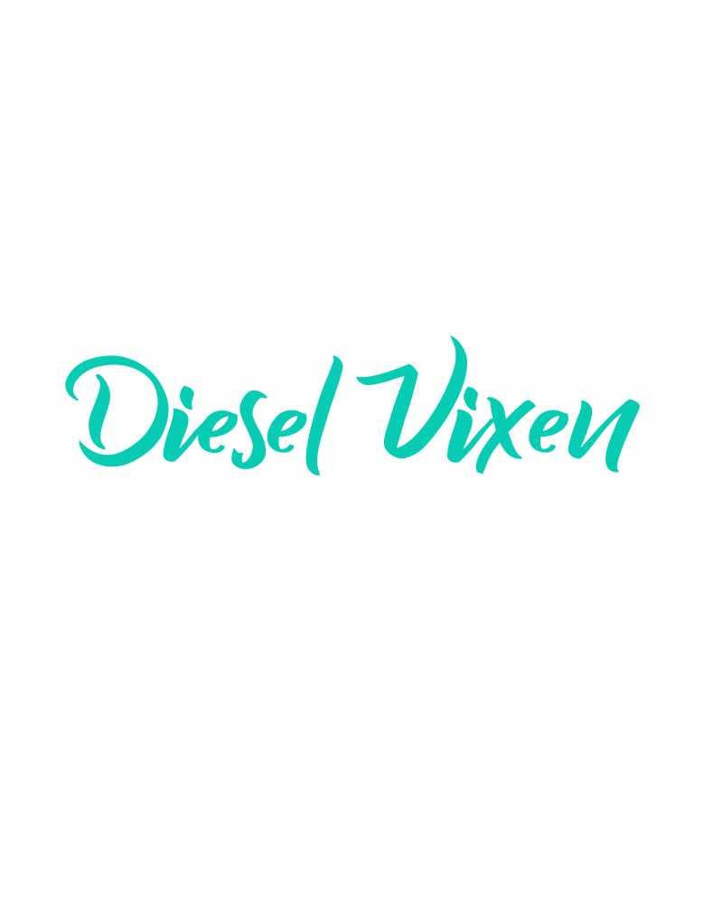 Load image into Gallery viewer, Diesel Vixen Decals
