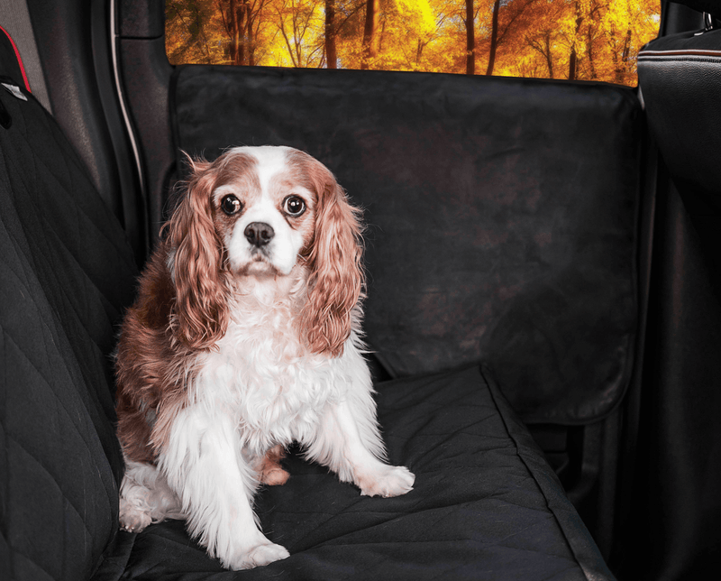 Load image into Gallery viewer, PupProtector™ Car Door Guard (2 pack)
