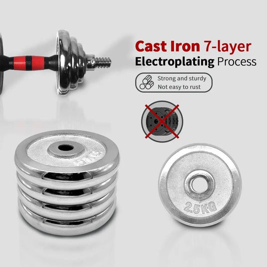 Adjustable Dumbbell Set Home Gym Cast Iron Barbell Sets with Carry Box 66lbs Office Bedroom Workout Dumbbells for Men and Women