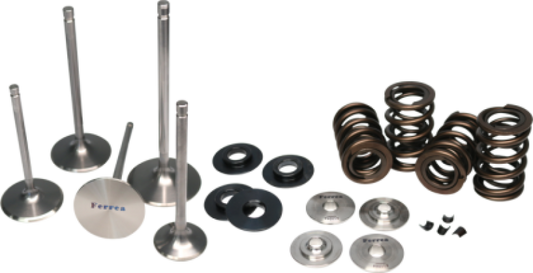 Ferrea 01-06 BMW S54 Dual Spring Kit