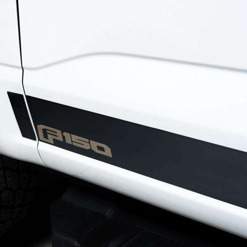 Load image into Gallery viewer, Putco 2021 Ford F-150 Reg Cab 8ft Long Box Ford Licensed Blk Platinum Rocker Panels (4.25in 10pc)
