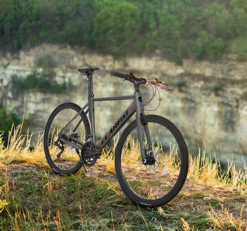 Load image into Gallery viewer, Ecarpat ZFA - 700×32C
