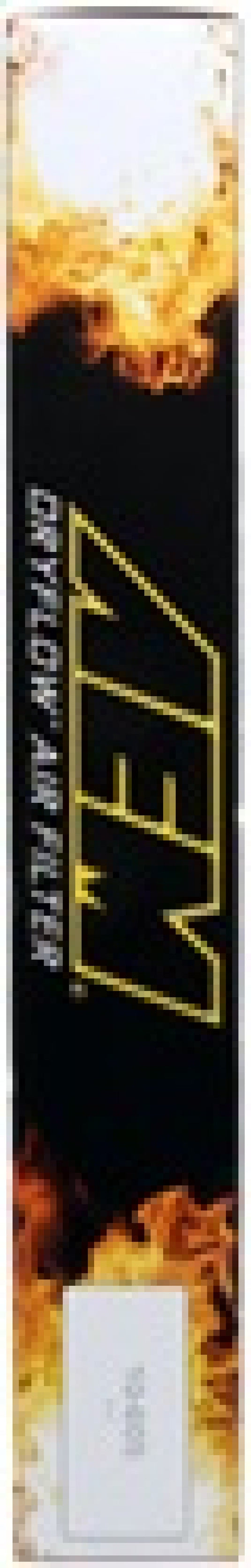 AEM Induction AEM 05-09 VW Passat / 06-08 VW GTI DryFlow Air Filter 28-20888