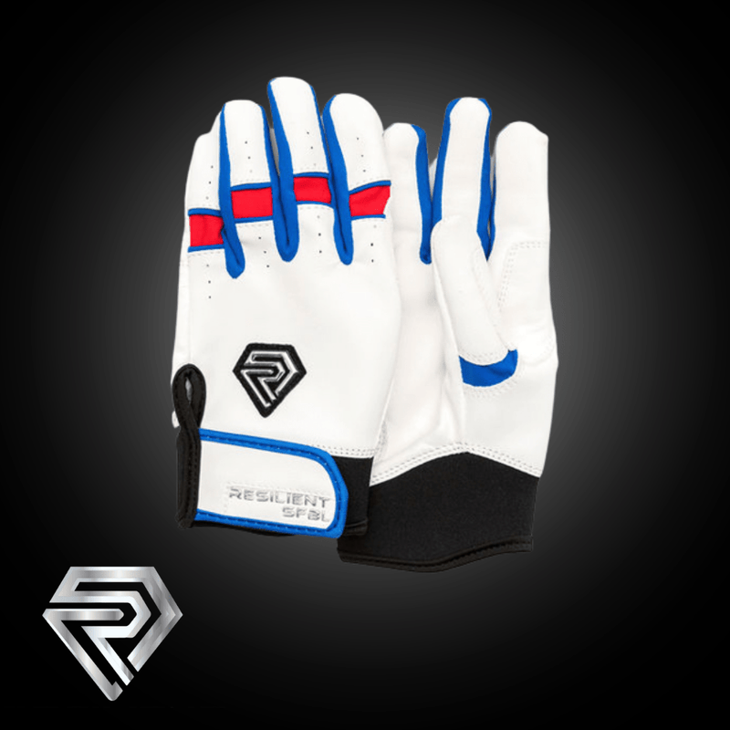 Load image into Gallery viewer, Dream Swing Series - Fastpitch Batting Gloves
