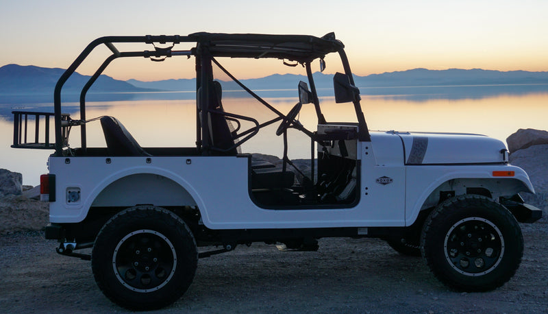 Load image into Gallery viewer, ROXOR Rear Roll Cage *ONLY* (2018-2025)
