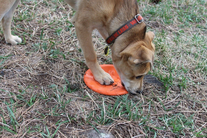 Load image into Gallery viewer, Bottle Top Flyer Rubber Frisbee for Dogs | Orange | Vet Approved | USA Made
