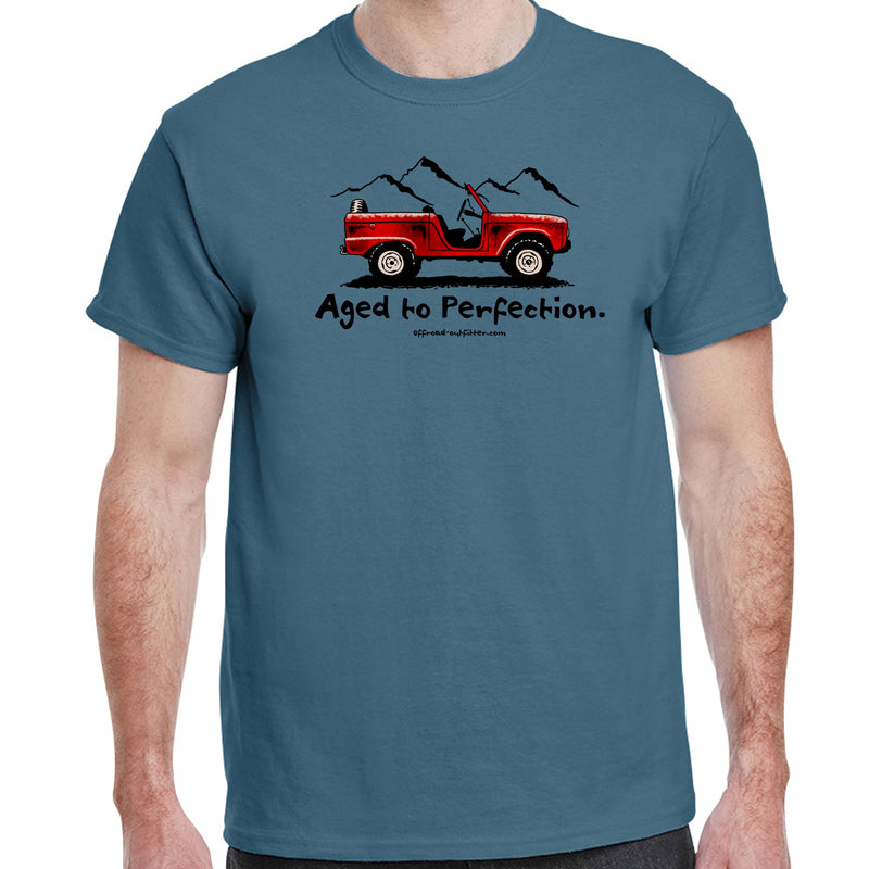 Load image into Gallery viewer, Aged to Perfection T-Shirt
