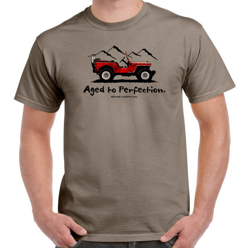 Load image into Gallery viewer, Aged to Perfection T-Shirt
