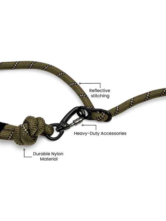 Army Green Running Hands-Free Dog Leash