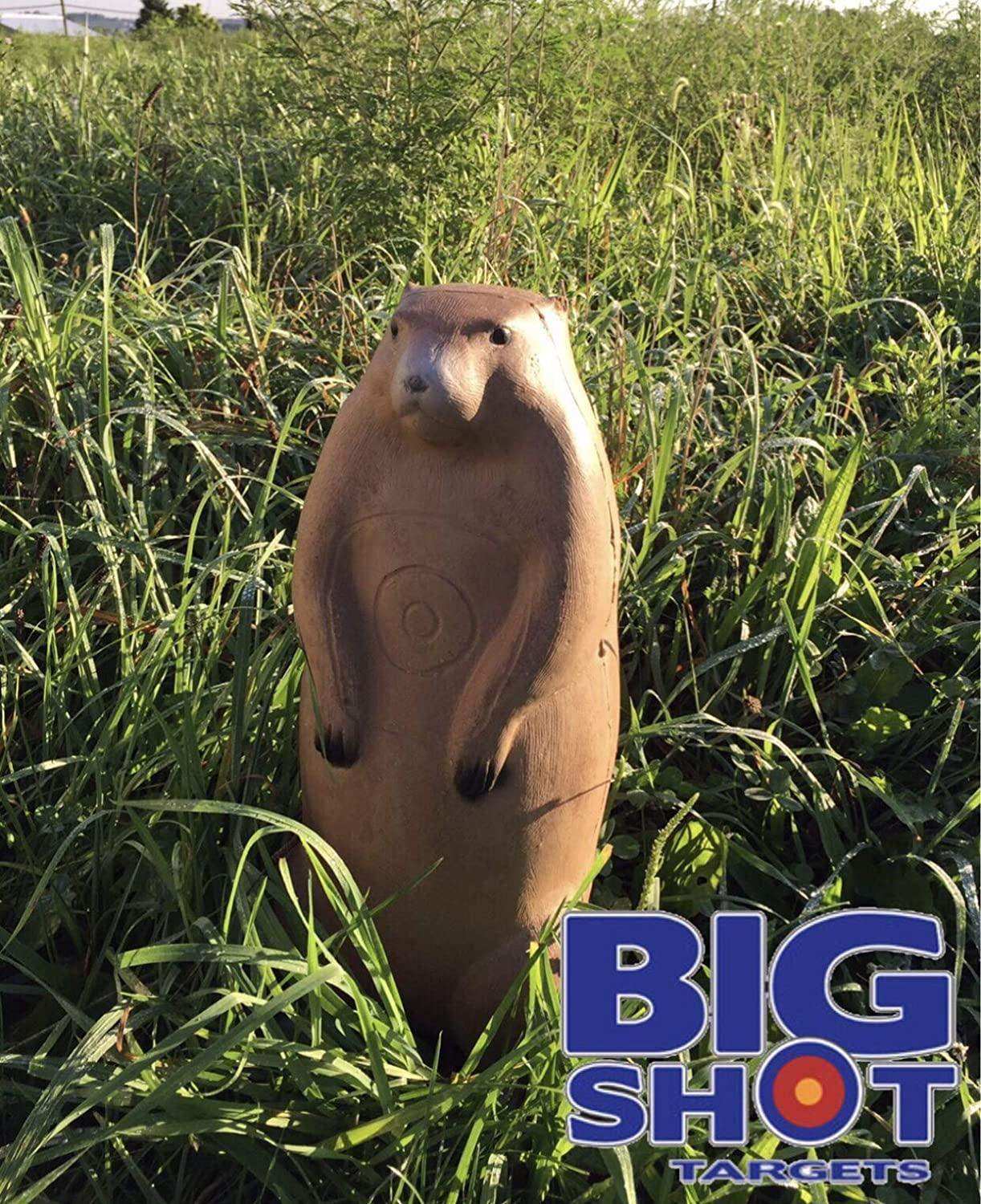 Pro Hunter Raccoon And Groundhog Combo Pack Archery Targets - Skoutley Outdoors LLC