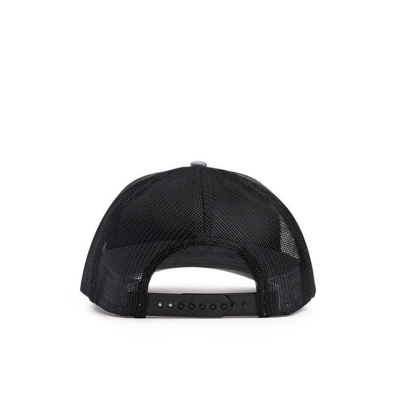 Load image into Gallery viewer, Duck Patch Hat
