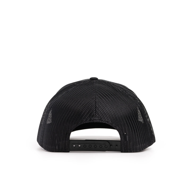 Load image into Gallery viewer, Largemouth Bass Patch Hat
