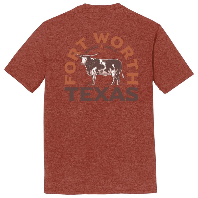 Load image into Gallery viewer, Texas Longhorn Lightweight Tee
