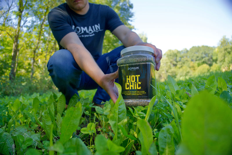 Load image into Gallery viewer, Hot Chic™ Food Plot Seed
