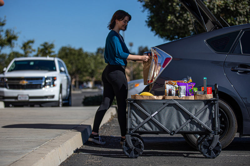 Load image into Gallery viewer, Adventure Wagon All-Terrain Portable Utility Wagon
