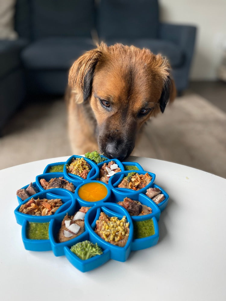Load image into Gallery viewer, Mandala eTray Shallow Slow Feeder Dog Bowl for Enrichment | USA Made
