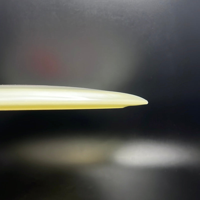 Load image into Gallery viewer, Champion Glow Tern
