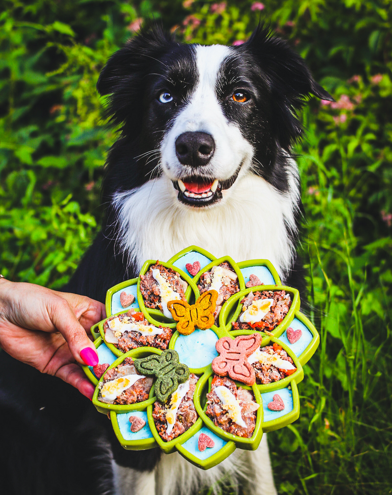 Load image into Gallery viewer, Mandala eTray Shallow Slow Feeder Dog Bowl for Enrichment | USA Made
