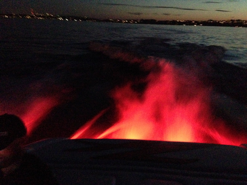 Load image into Gallery viewer, Subaqua Underwater LED Light
