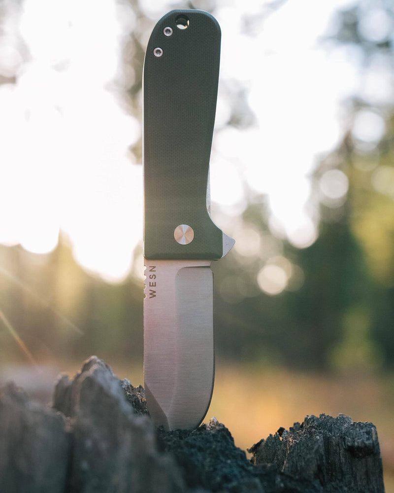 Load image into Gallery viewer, WESN: The Allman
