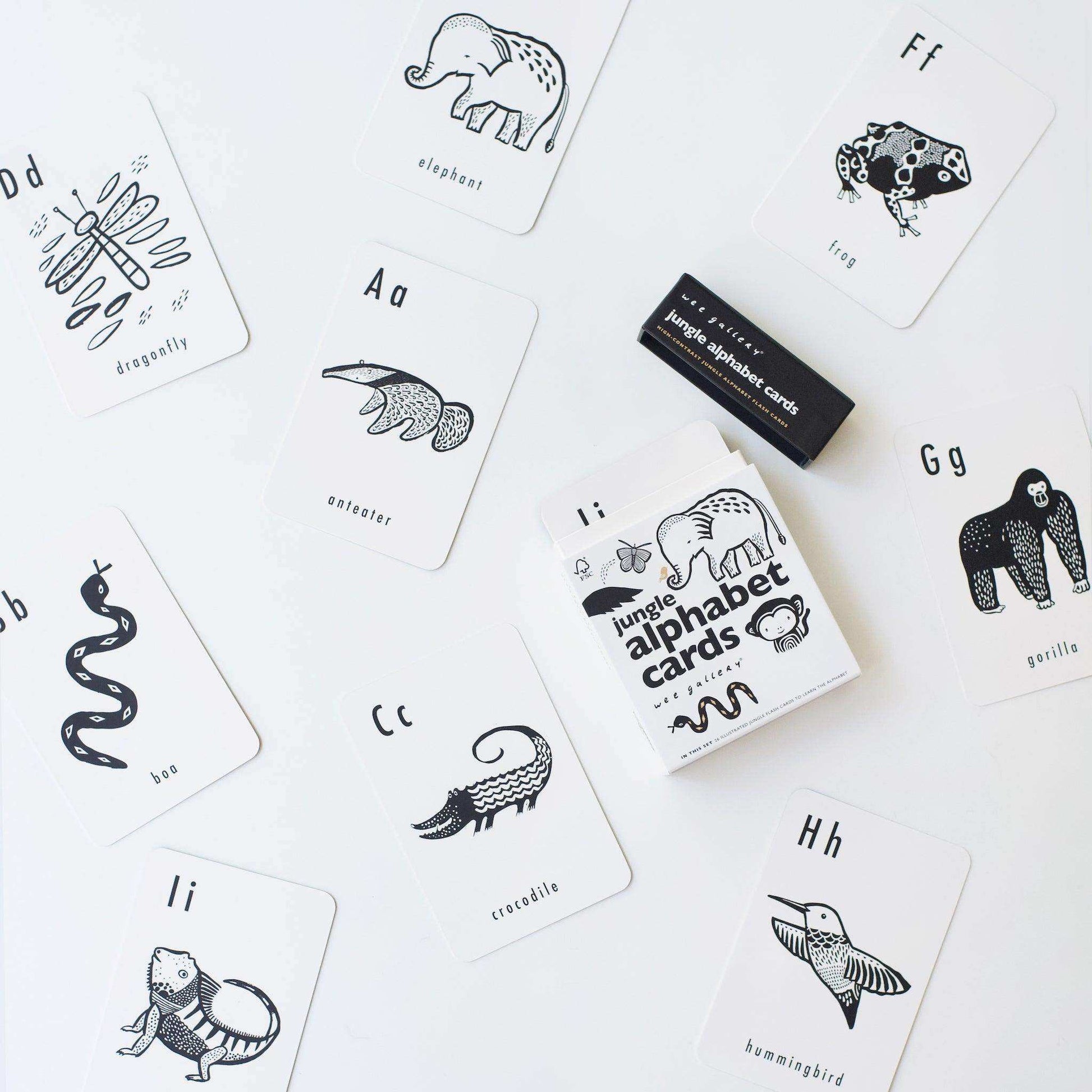 Jungle Alphabet Cards - Skoutley Outdoors LLC