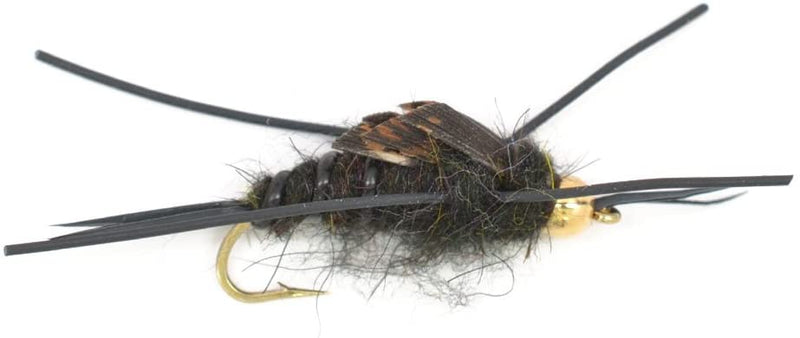 Load image into Gallery viewer, Basics Collection - Kaufmann's Tungsten Stonefly Nymphs 10 Flies  #4-12
