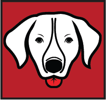 Load image into Gallery viewer, 5 Ft Dog Winch Leash - Skoutley Outdoors LLC
