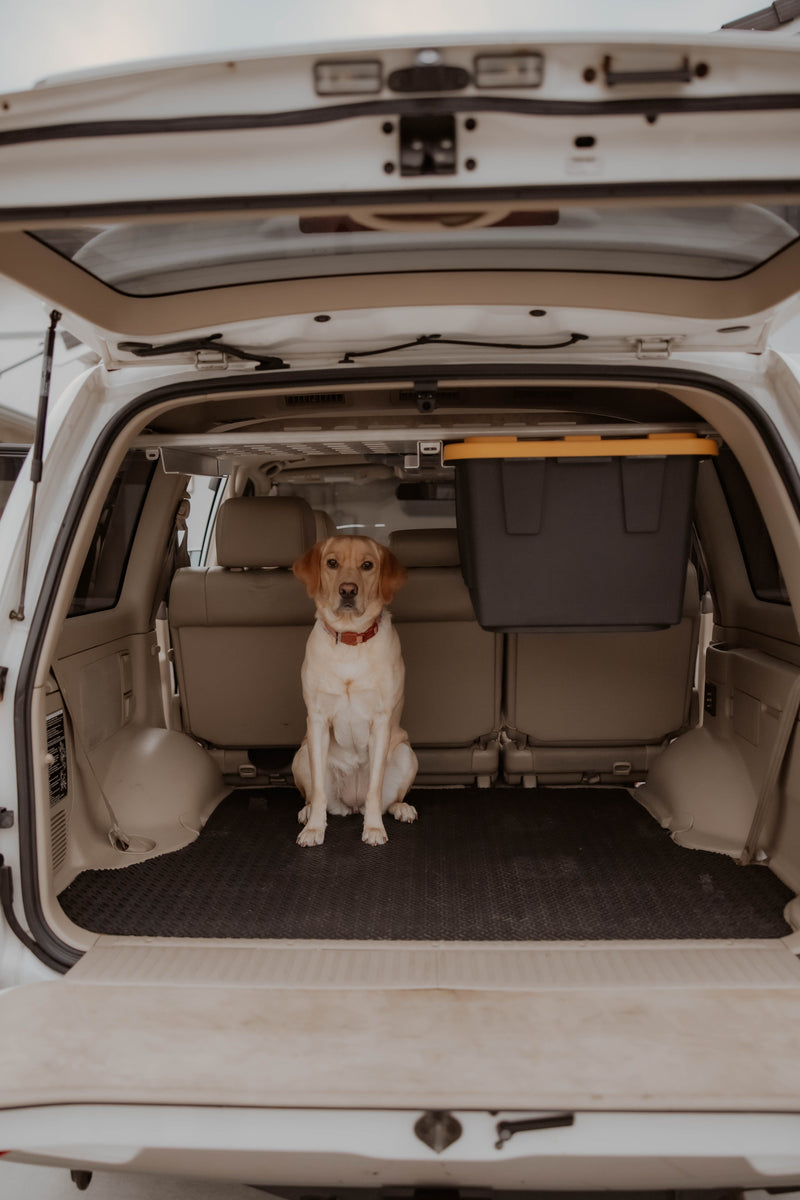 Load image into Gallery viewer, CAtuned Off-Road Land Cruiser 100 Series Upper Multipurpose Shelf

