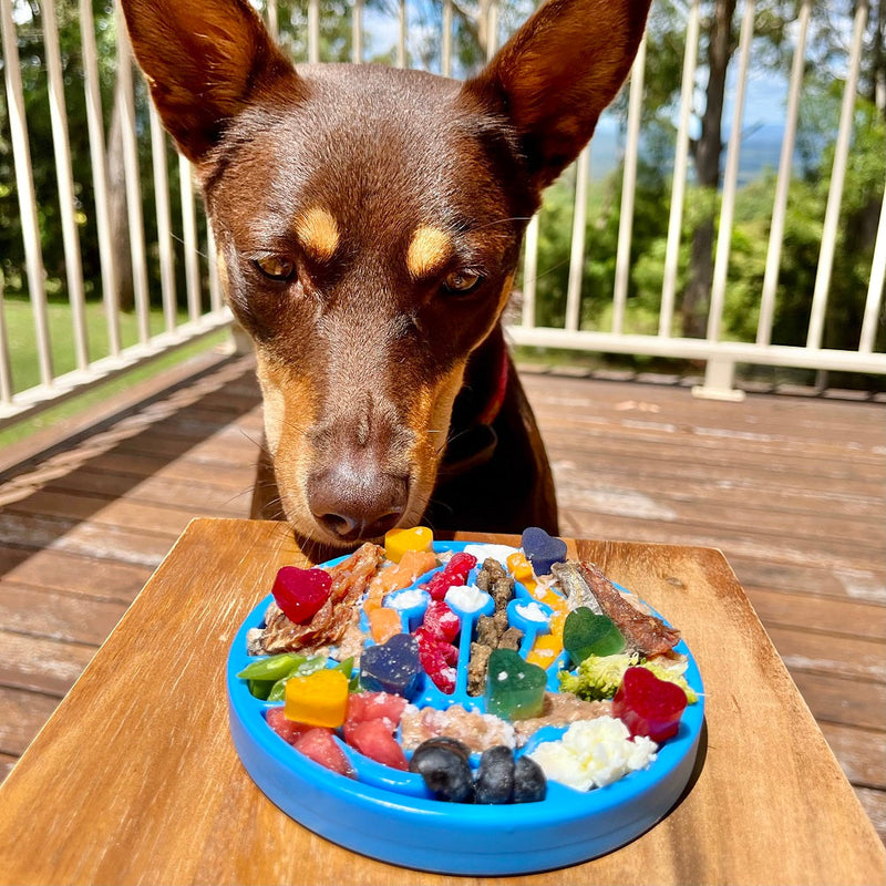 Load image into Gallery viewer, Air Nylon eCoin Lick Mat for Dogs - Durable Enrichment Toy | SodaPup
