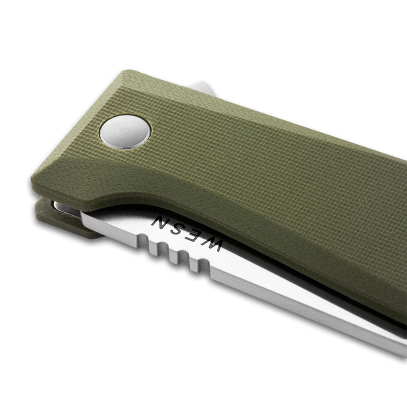 Load image into Gallery viewer, WESN: The Allman
