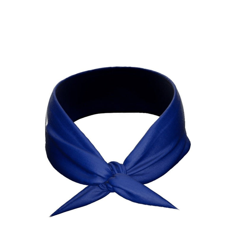 Load image into Gallery viewer, Blue Tie Headband
