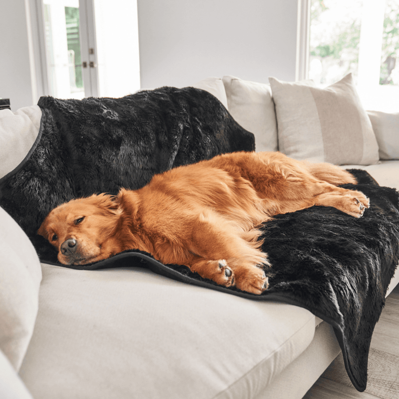 Load image into Gallery viewer, PupProtector™ Summer Short Fur Waterproof Throw Blanket - Midnight Black
