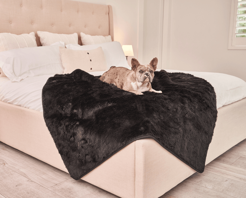 Load image into Gallery viewer, PupProtector™ Summer Short Fur Waterproof Throw Blanket - Midnight Black
