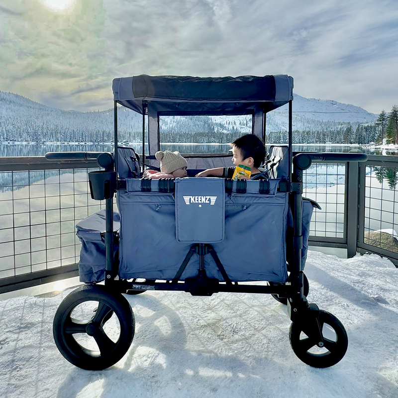 Load image into Gallery viewer, Keenz MOOV 2-Passenger Stroller Wagon – All-Terrain Comfort for Everyday Movement

