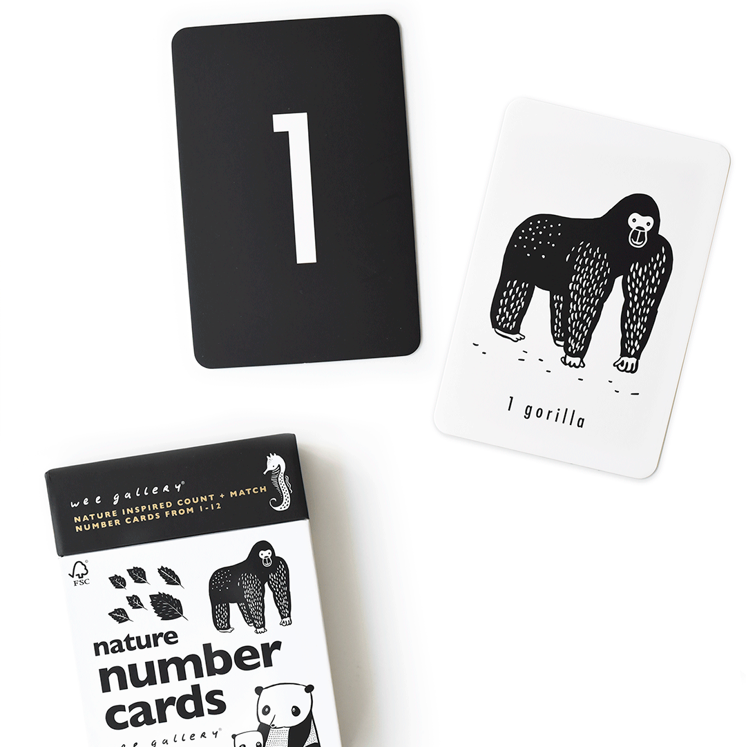 Counting Adventure Bundle - Skoutley Outdoors LLC