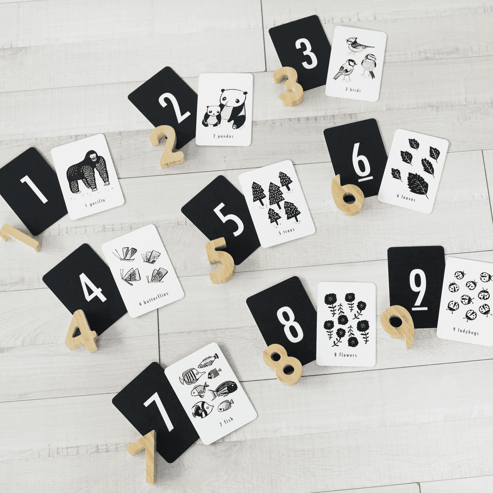 Counting Adventure Bundle - Skoutley Outdoors LLC