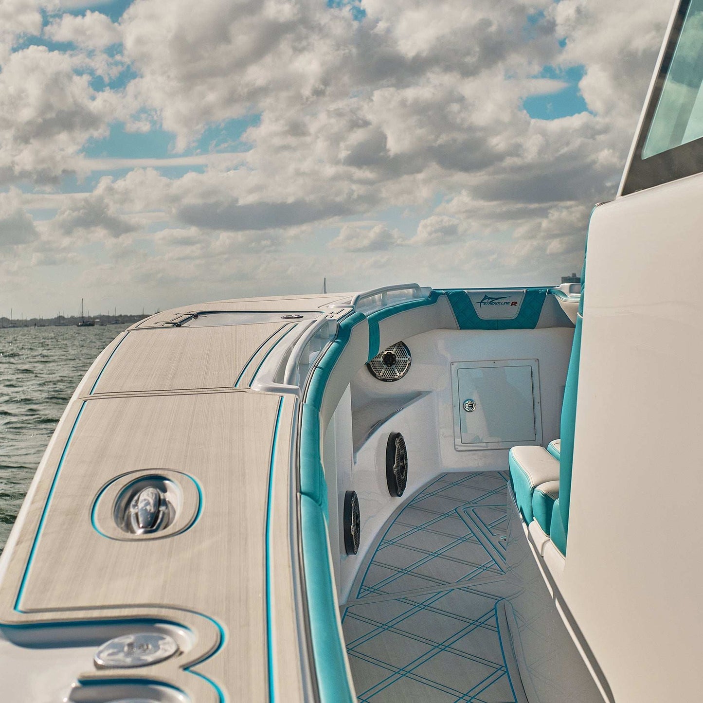 NXL 10" Marine Subwoofer With LED RGB Lights 300 Watts Rms SVC 4-Ohm -White - Skoutley Outdoors LLC