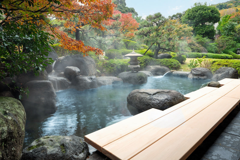 Load image into Gallery viewer, Onsen and Ryokan of Japan
