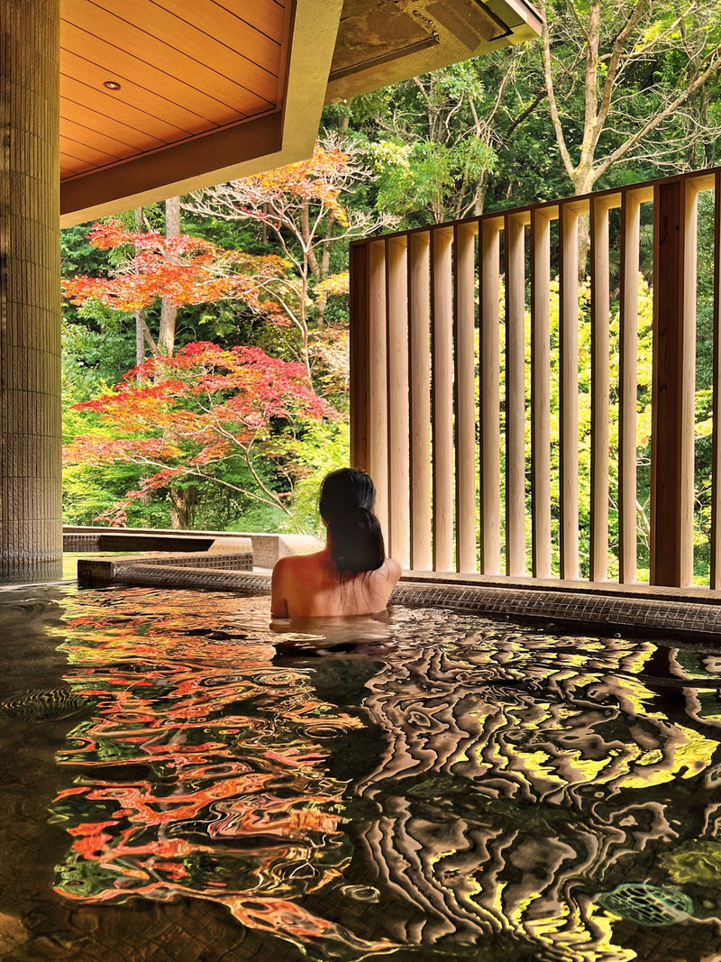 Load image into Gallery viewer, Onsen and Ryokan of Japan
