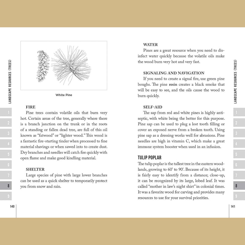 Load image into Gallery viewer, Bushcraft Essentials Field Guide: The Basics You Need to Pack, Know, and Do to Survive in the Wild
