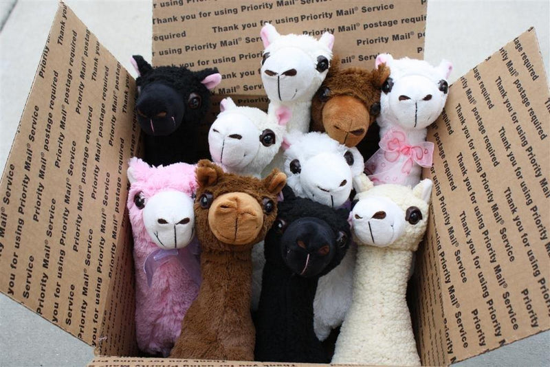 Load image into Gallery viewer, PacaBuddies Stuffed Alpaca Toys
