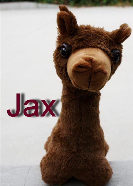 Load image into Gallery viewer, PacaBuddies Stuffed Alpaca Toys
